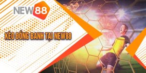 Kèo Đồng Banh Là Gì? Cách Chơi Kèo Đồng Banh Tại New88 Đăng Nhập